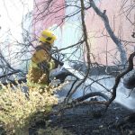 Dirección de Bomberos de Cuautlancingo atendió oportunamente un reporte por incendio de pastizal registrado en un terreno ubicado en calle San José en la cabecera municipal.