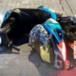 Lamentable 🚨⚠️😢Joven mujer mu3re tras derr4par en motocicleta