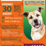 ARIADNA AYALA IMPULSA JORNADAS GRATUITAS DE SERVICIOS VETERINARIOS EN COLONIAS DE ATLIXCO