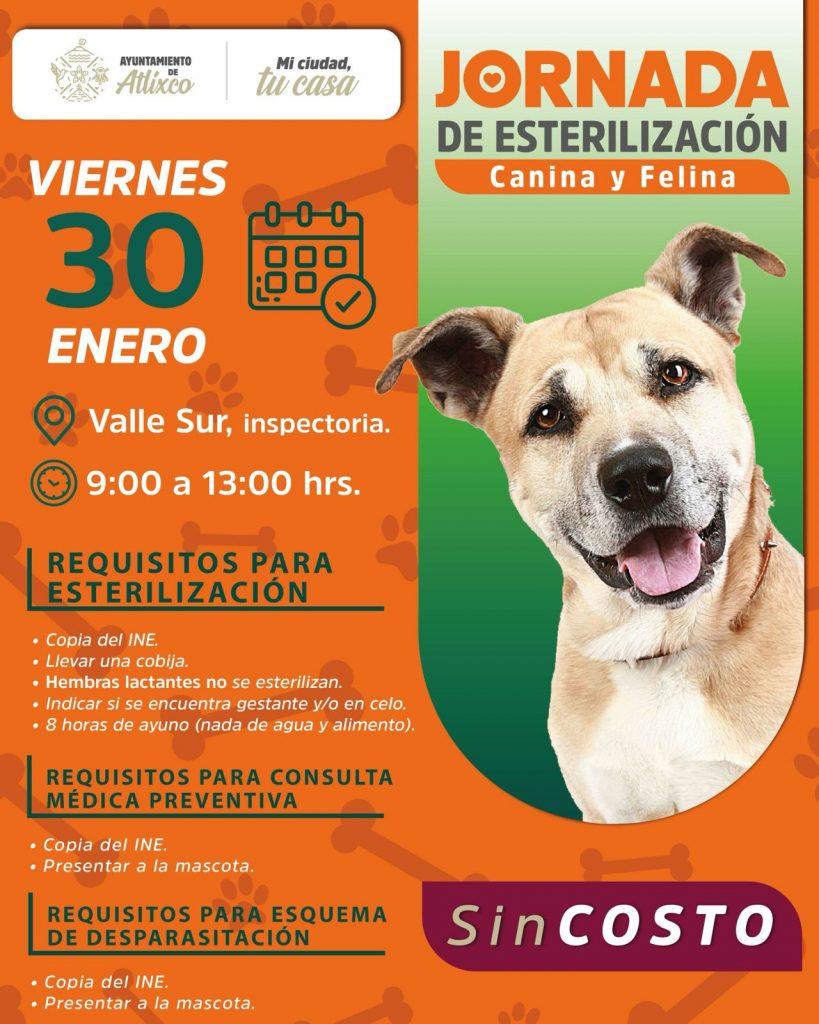 ARIADNA AYALA IMPULSA JORNADAS GRATUITAS DE SERVICIOS VETERINARIOS EN COLONIAS DE ATLIXCO