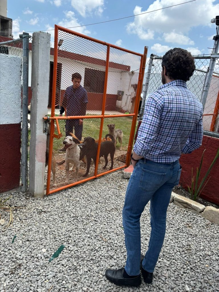Luis Tiffein Álvarez gestionó y concretó reunión con la Directora de Bienestar Animal del Estado para atender la grave problemática en Lomas Angelópolis y OcoyucanGracias a la gestión e intervención directa de Luis Tiffein Álvarez, se llevó a cabo una importante reunión de trabajo con la Directora de Bienestar Animal del Estado de Puebla, Michelle Islas Ganime .La reunión fue solicitada por los principales actores de la defensa animal ante la crítica situación que enfrentan los perros, gatos y animales en general en las zonas de Lomas Angelópolis y el municipio de Ocoyucan. Luis Tiffein Álvarez, ante la insistente problemática que se vive en Lomas Angelópolis, impulsó y logró este encuentro con el objetivo de buscar soluciones concretas.La Directora escuchó con atención las demandas y necesidades expuestas por los líderes de las asociaciones protectoras. Participaron en la reunión:
