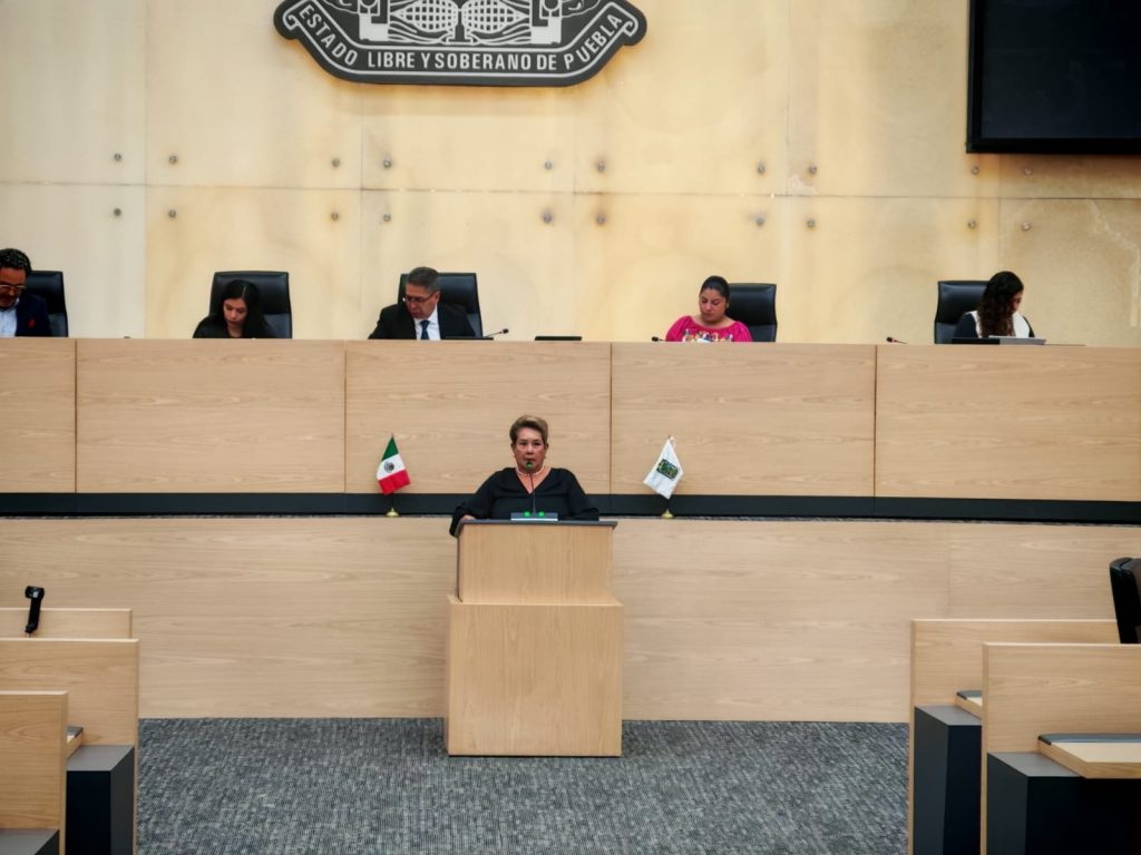 Congreso del Estado aprueba reformas para reconocer la orfandad como situación de vulnerabilidad infantil