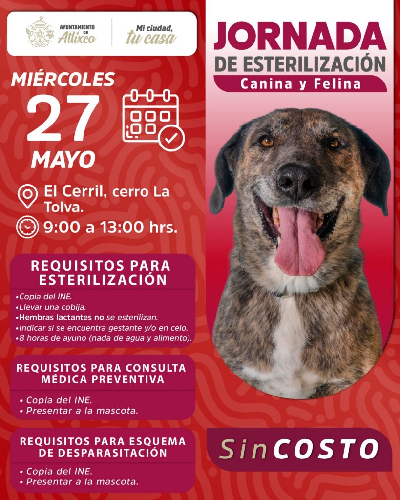 AMAR ES ESTERILIZAR: ARIADNA AYALA PROMUEVE JORNADA DE CUIDADO ANIMAL EN ATLIXCO.