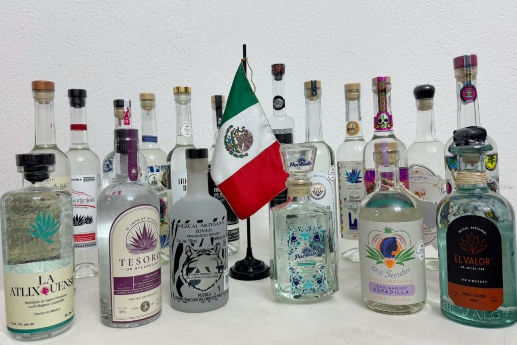 Ana Laura Altamirano, titular de la SADR, sostuvo una reunión con Luis Fernando Otero, presidente de la Academia Mexicana del Mezcal y del Maguey.